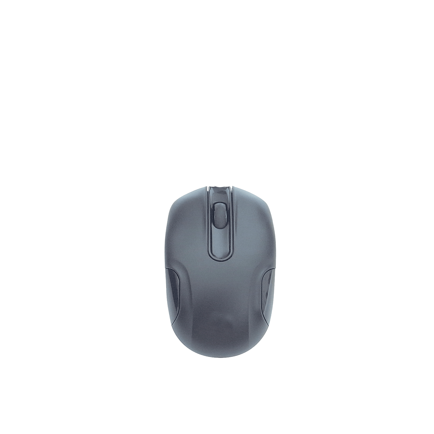 Black Mouse