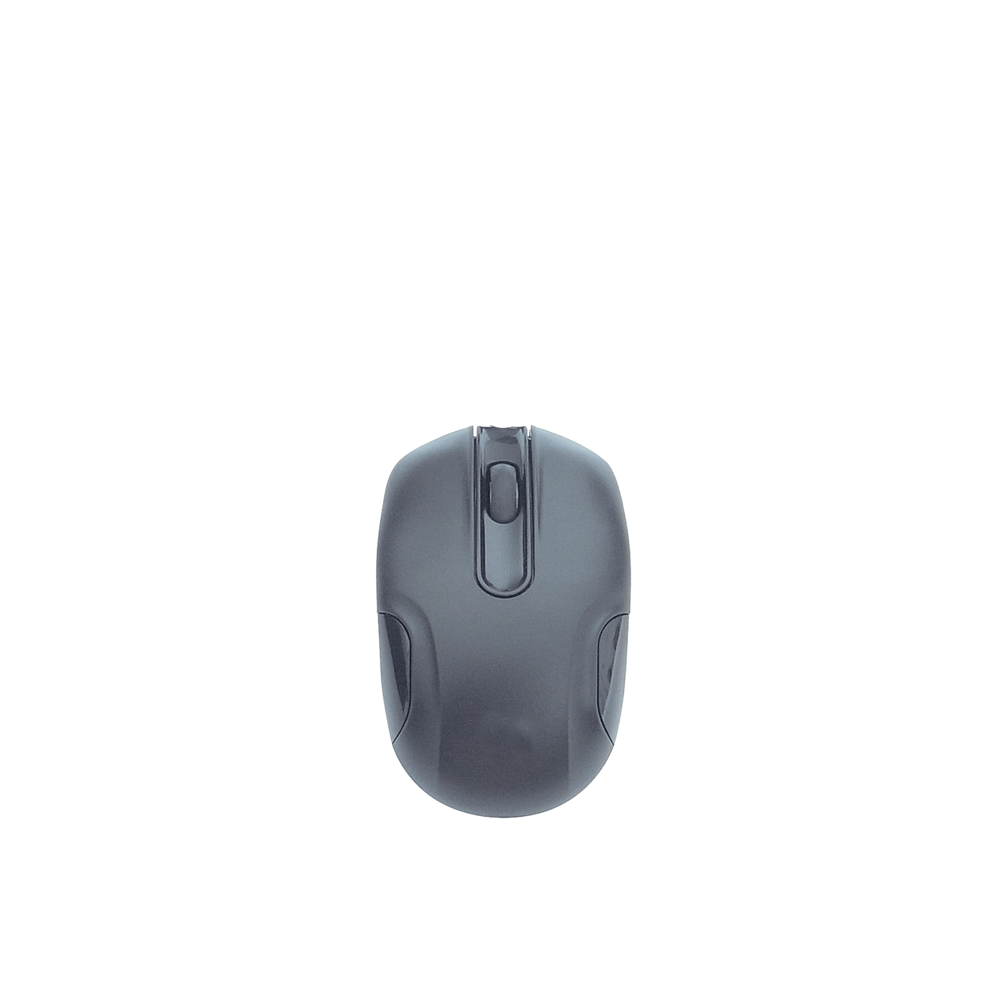 Black Mouse